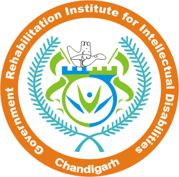 Government Rehabilitation Institute for Intellectual Disabilities